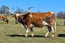 JTW Win With Marissa 56